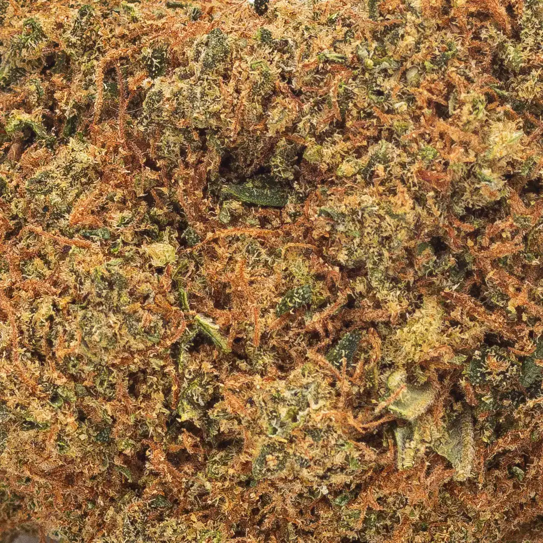 Détail des trichomes de la fleur White Widow CBD hybride 50/50
