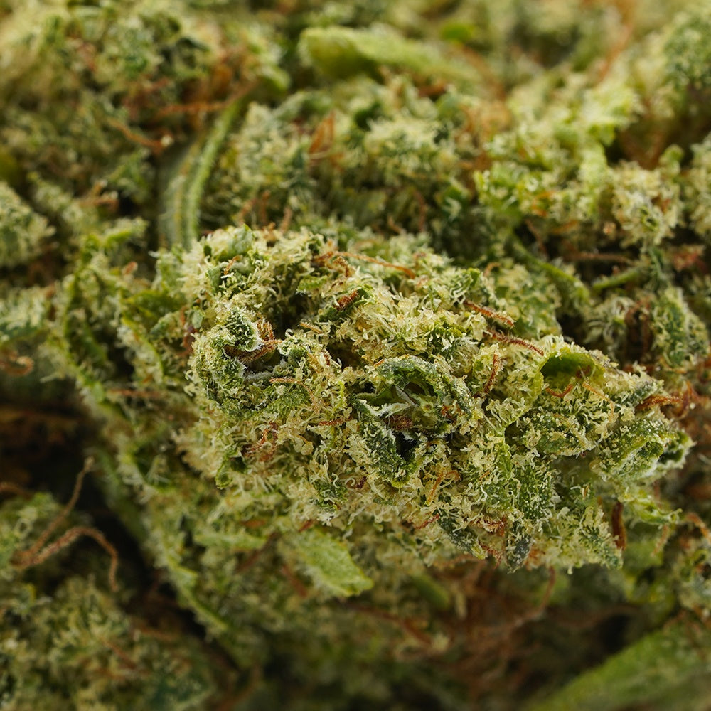 Zoom sur la fleur Bubble Gum CBD hydro saveurs sucrées
