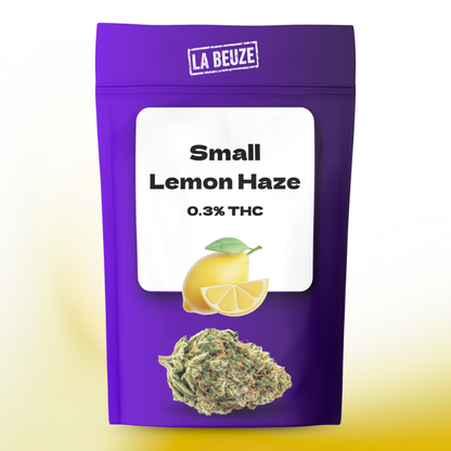 Fleur Small Lemon Haze CBD cultivée en indoor arômes acidulés citron
