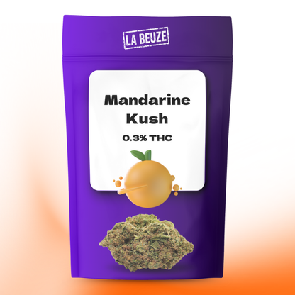 Fleur Mandarine Kush CBD bio cultivée en serre arômes acidulés
