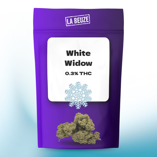 Fleur White Widow CBD hybride 50/50 cultivée en serre icône mondiale
