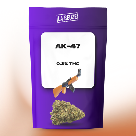 Fleur AK-47 CBD cultivée en indoor riche en terpènes
