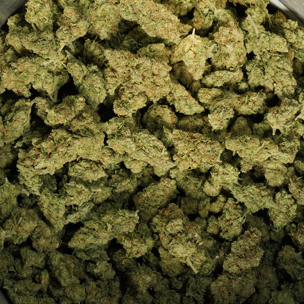 Gros plan sur les trichomes de la fleur Strawberry CBD premium La Beuze
